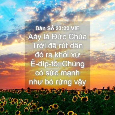Picture 04 - Dân Số 23:22 VIE - Aáy là Đức Chúa Trời đã rút dân đó - Bible Verse Picture