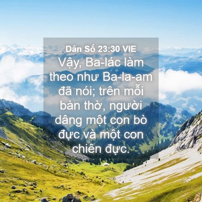 Picture 04 - Dân Số 23:30 VIE - Vậy, Ba-lác làm theo như Ba-la-am đã nói; - Bible Verse Picture