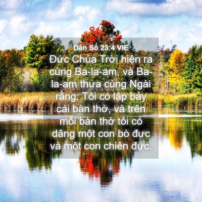 Picture 04 - Dân Số 23:4 VIE - Đức Chúa Trời hiện ra cùng Ba-la-am, và - Bible Verse Picture