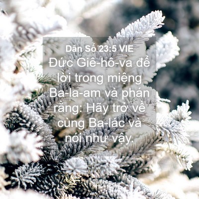 Picture 04 - Dân Số 23:5 VIE - Đức Giê-hô-va để lời trong miệng - Bible Verse Picture