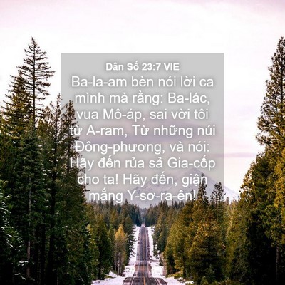 Picture 04 - Dân Số 23:7 VIE - Ba-la-am bèn nói lời ca mình mà rằng: - Bible Verse Picture