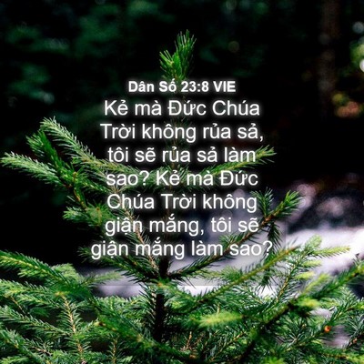 Picture 04 - Dân Số 23:8 VIE - Kẻ mà Đức Chúa Trời không rủa sả, - Bible Verse Picture