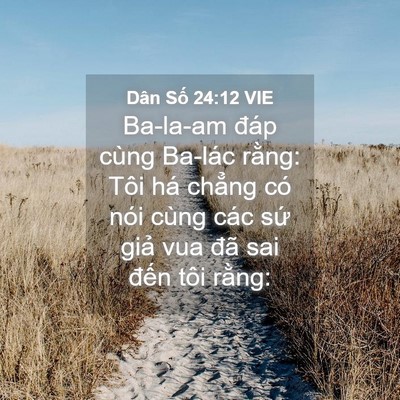 Picture 04 - Dân Số 24:12 VIE - Ba-la-am đáp cùng Ba-lác rằng: Tôi há - Bible Verse Picture