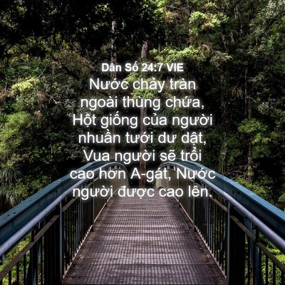 Picture 04 - Dân Số 24:7 VIE - Nước chảy tràn ngoài thùng chứa, Hột - Bible Verse Picture