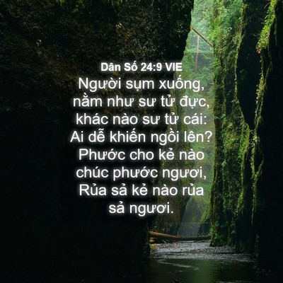 Picture 04 - Dân Số 24:9 VIE - Người sụm xuống, nằm như sư tử - Bible Verse Picture
