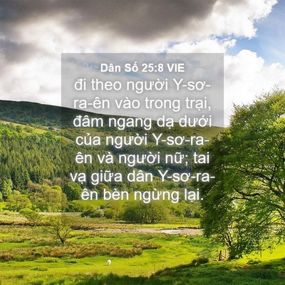 Picture 04 - Dân Số 25:8 VIE - đi theo người Y-sơ-ra-ên vào trong trại, - Bible Verse Picture