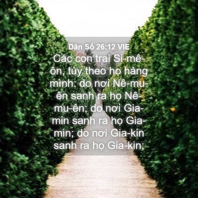 Picture 04 - Dân Số 26:12 VIE - Các con trai Si-mê-ôn, tùy theo họ hàng - Bible Verse Picture
