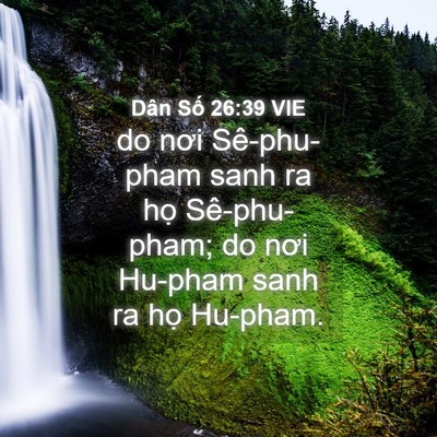 Picture 04 - Dân Số 26:39 VIE - do nơi Sê-phu-pham sanh ra họ Sê-phu-pham; - Bible Verse Picture