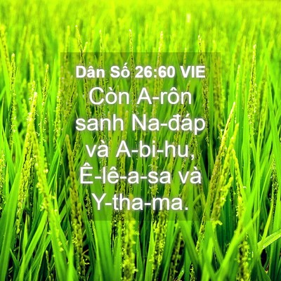 Picture 04 - Dân Số 26:60 VIE - Còn A-rôn sanh Na-đáp và A-bi-hu, - Bible Verse Picture