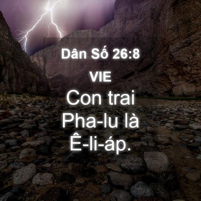 Picture 04 - Dân Số 26:8 VIE - Con trai Pha-lu là - Bible Verse Picture