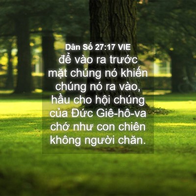 Picture 04 - Dân Số 27:17 VIE - để vào ra trước mặt chúng nó khiến - Bible Verse Picture