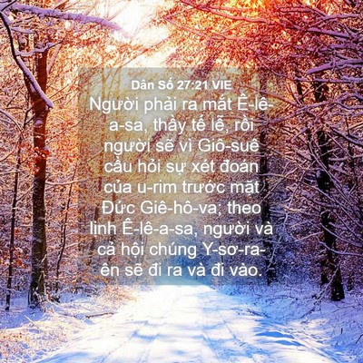 Picture 04 - Dân Số 27:21 VIE - Người phải ra mắt Ê-lê-a-sa, thầy tế - Bible Verse Picture