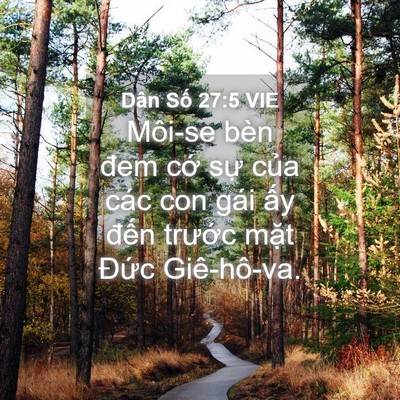 Picture 04 - Dân Số 27:5 VIE - Môi-se bèn đem cớ sự của các con gái - Bible Verse Picture