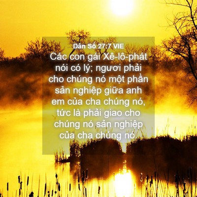 Picture 04 - Dân Số 27:7 VIE - Các con gái Xê-lô-phát nói có lý; ngươi - Bible Verse Picture
