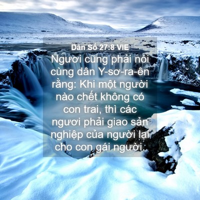 Picture 04 - Dân Số 27:8 VIE - Ngươi cũng phải nói cùng dân Y-sơ-ra-ên - Bible Verse Picture