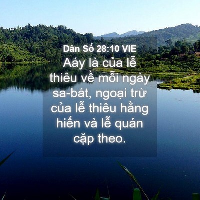Picture 04 - Dân Số 28:10 VIE - Aáy là của lễ thiêu về mỗi ngày - Bible Verse Picture