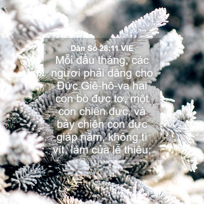 Picture 04 - Dân Số 28:11 VIE - Mỗi đầu tháng, các ngươi phải dâng - Bible Verse Picture