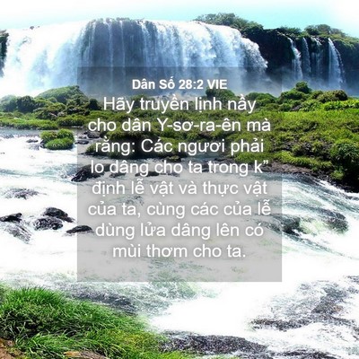 Picture 04 - Dân Số 28:2 VIE - Hãy truyền lịnh nầy cho dân Y-sơ-ra-ên - Bible Verse Picture
