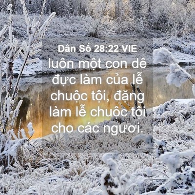Picture 04 - Dân Số 28:22 VIE - luôn một con dê đực làm của lễ - Bible Verse Picture