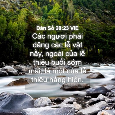 Picture 04 - Dân Số 28:23 VIE - Các ngươi phải dâng các lễ vật nầy, - Bible Verse Picture