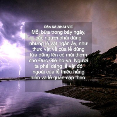 Picture 04 - Dân Số 28:24 VIE - Mỗi bữa trong bảy ngày, các ngươi - Bible Verse Picture