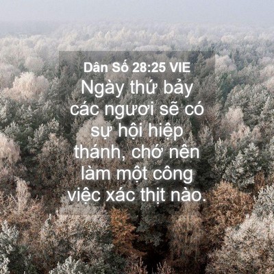 Picture 04 - Dân Số 28:25 VIE - Ngày thứ bảy các ngươi sẽ có sự - Bible Verse Picture