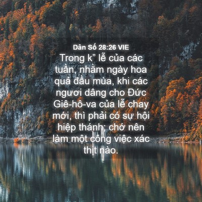 Picture 04 - Dân Số 28:26 VIE - Trong k” lễ của các tuần, nhằm ngày - Bible Verse Picture
