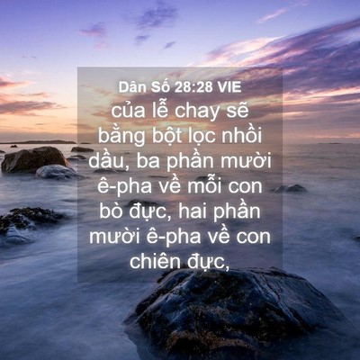 Picture 04 - Dân Số 28:28 VIE - của lễ chay sẽ bằng bột lọc nhồi - Bible Verse Picture