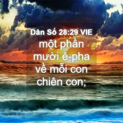 Picture 04 - Dân Số 28:29 VIE - một phần mười ê-pha về mỗi con chiên - Bible Verse Picture