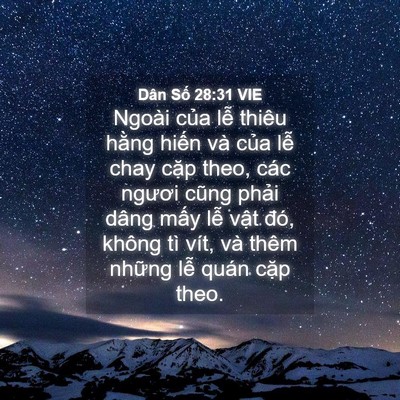 Picture 04 - Dân Số 28:31 VIE - Ngoài của lễ thiêu hằng hiến và của - Bible Verse Picture