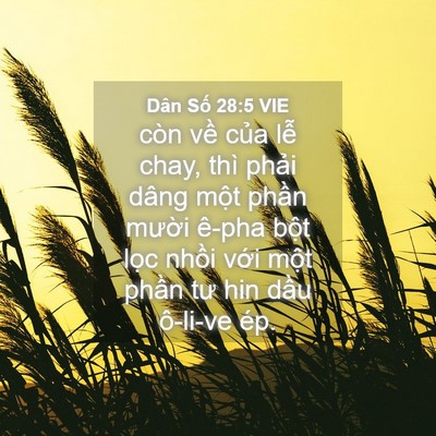 Picture 04 - Dân Số 28:5 VIE - còn về của lễ chay, thì phải dâng - Bible Verse Picture
