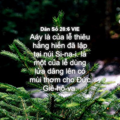 Picture 04 - Dân Số 28:6 VIE - Aáy là của lễ thiêu hằng hiến đã - Bible Verse Picture