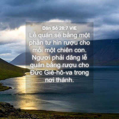 Picture 04 - Dân Số 28:7 VIE - Lễ quán sẽ bằng một phần tư hin - Bible Verse Picture