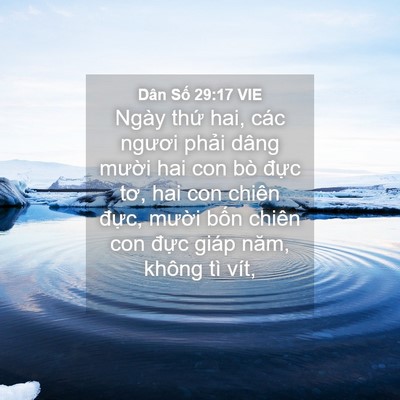 Picture 04 - Dân Số 29:17 VIE - Ngày thứ hai, các ngươi phải dâng - Bible Verse Picture