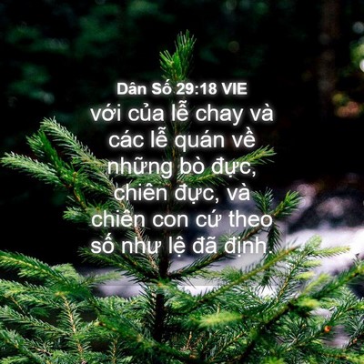 Picture 04 - Dân Số 29:18 VIE - với của lễ chay và các lễ quán về - Bible Verse Picture