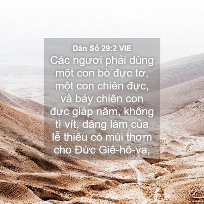 Picture 04 - Dân Số 29:2 VIE - Các ngươi phải dùng một con bò đực - Bible Verse Picture
