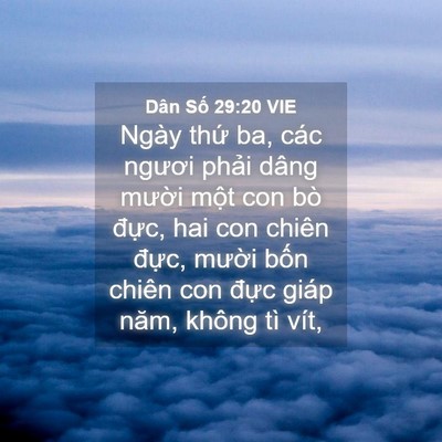 Picture 04 - Dân Số 29:20 VIE - Ngày thứ ba, các ngươi phải dâng mười - Bible Verse Picture