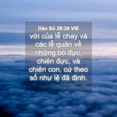 Picture 04 - Dân Số 29:24 VIE - với của lễ chay và các lễ quán về - Bible Verse Picture
