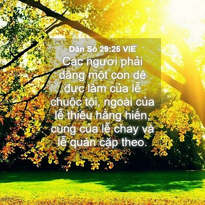 Picture 04 - Dân Số 29:25 VIE - Các ngươi phải dâng một con dê đực - Bible Verse Picture