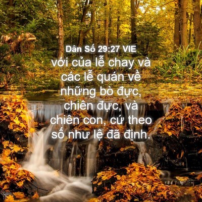 Picture 04 - Dân Số 29:27 VIE - với của lễ chay và các lễ quán về - Bible Verse Picture
