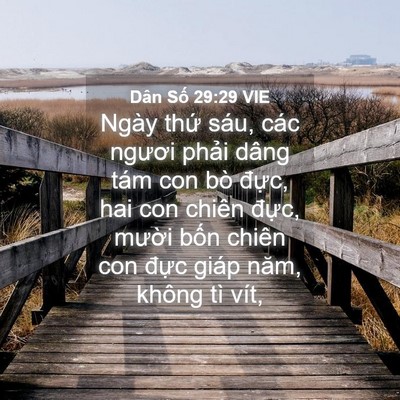 Picture 04 - Dân Số 29:29 VIE - Ngày thứ sáu, các ngươi phải dâng tám - Bible Verse Picture