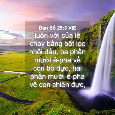 Picture 04 - Dân Số 29:3 VIE - luôn với của lễ chay bằng bột lọc - Bible Verse Picture
