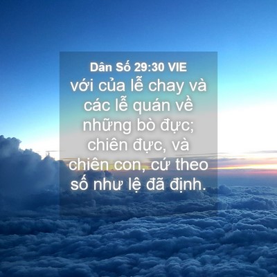 Picture 04 - Dân Số 29:30 VIE - với của lễ chay và các lễ quán về - Bible Verse Picture