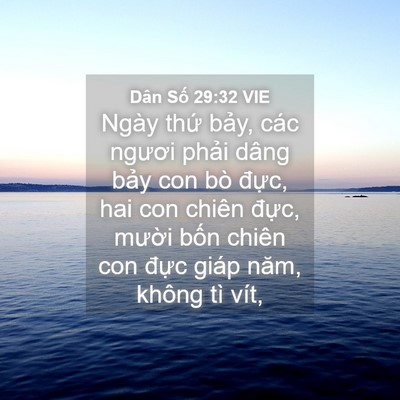 Picture 04 - Dân Số 29:32 VIE - Ngày thứ bảy, các ngươi phải dâng - Bible Verse Picture