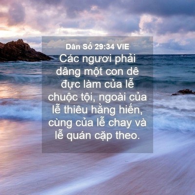 Picture 04 - Dân Số 29:34 VIE - Các ngươi phải dâng một con dê đực - Bible Verse Picture