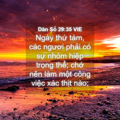 Picture 04 - Dân Số 29:35 VIE - Ngày thứ tám, các ngươi phải có sự - Bible Verse Picture