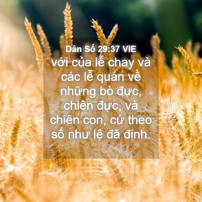Picture 04 - Dân Số 29:37 VIE - với của lễ chay và các lễ quán về - Bible Verse Picture