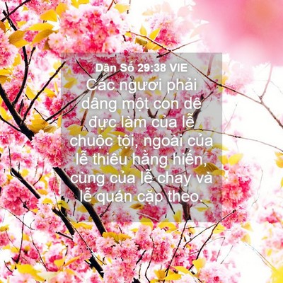 Picture 04 - Dân Số 29:38 VIE - Các ngươi phải dâng một con dê đực - Bible Verse Picture