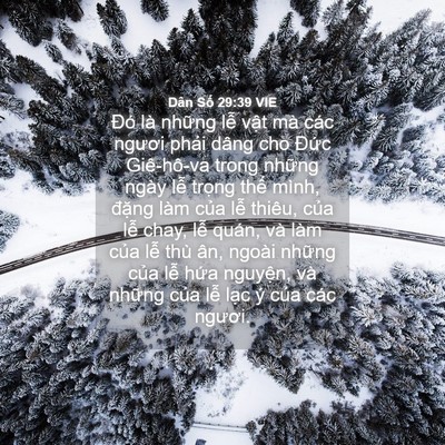 Picture 04 - Dân Số 29:39 VIE - Đó là những lễ vật mà các ngươi - Bible Verse Picture