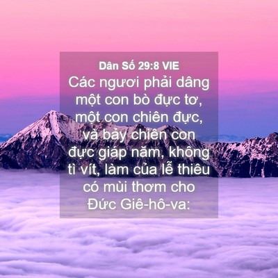 Picture 04 - Dân Số 29:8 VIE - Các ngươi phải dâng một con bò đực - Bible Verse Picture